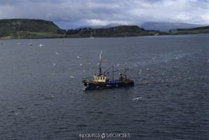 Escocia 2 529 Barco pesquero Oban