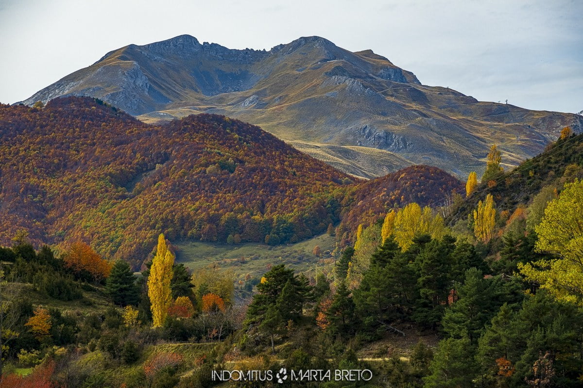 colores de otoño