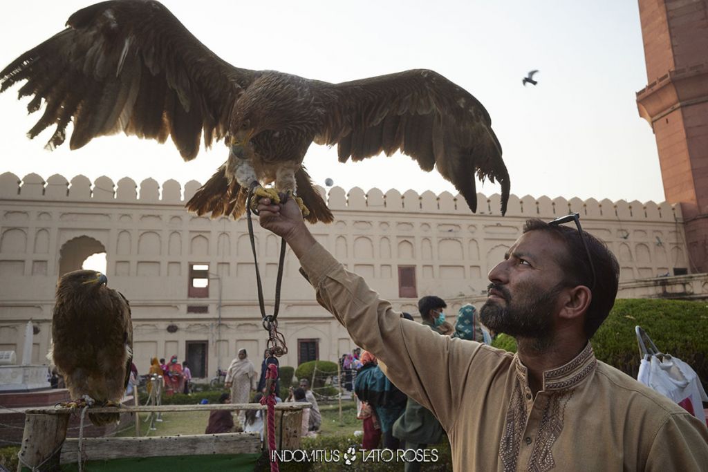 Pakistan 5 0600 Lahore