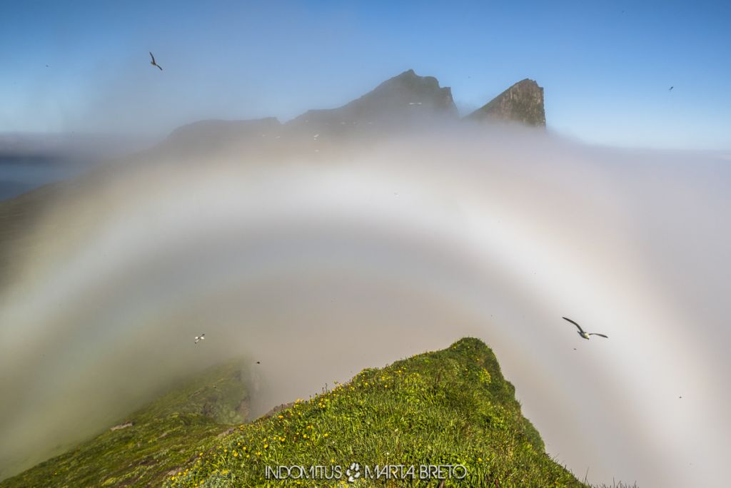 Arcoíris de niebla o arcoíris blanco