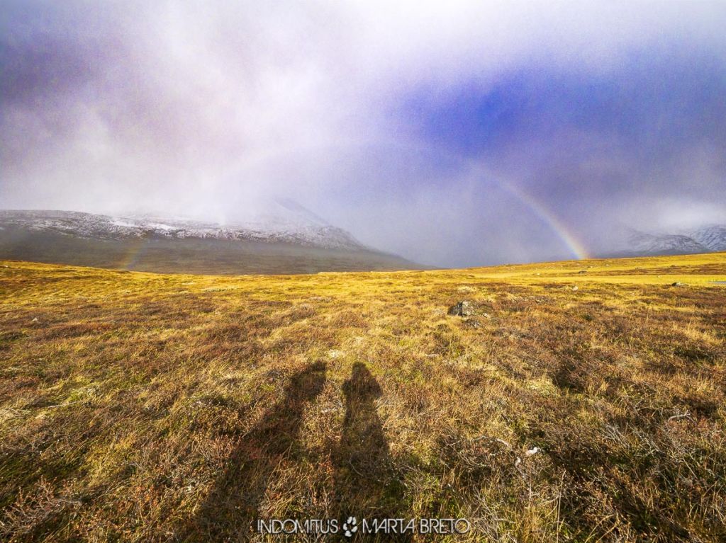 bajo el arcoiris