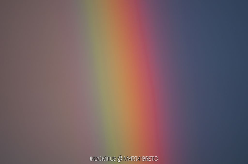 detalle de un arcoiris