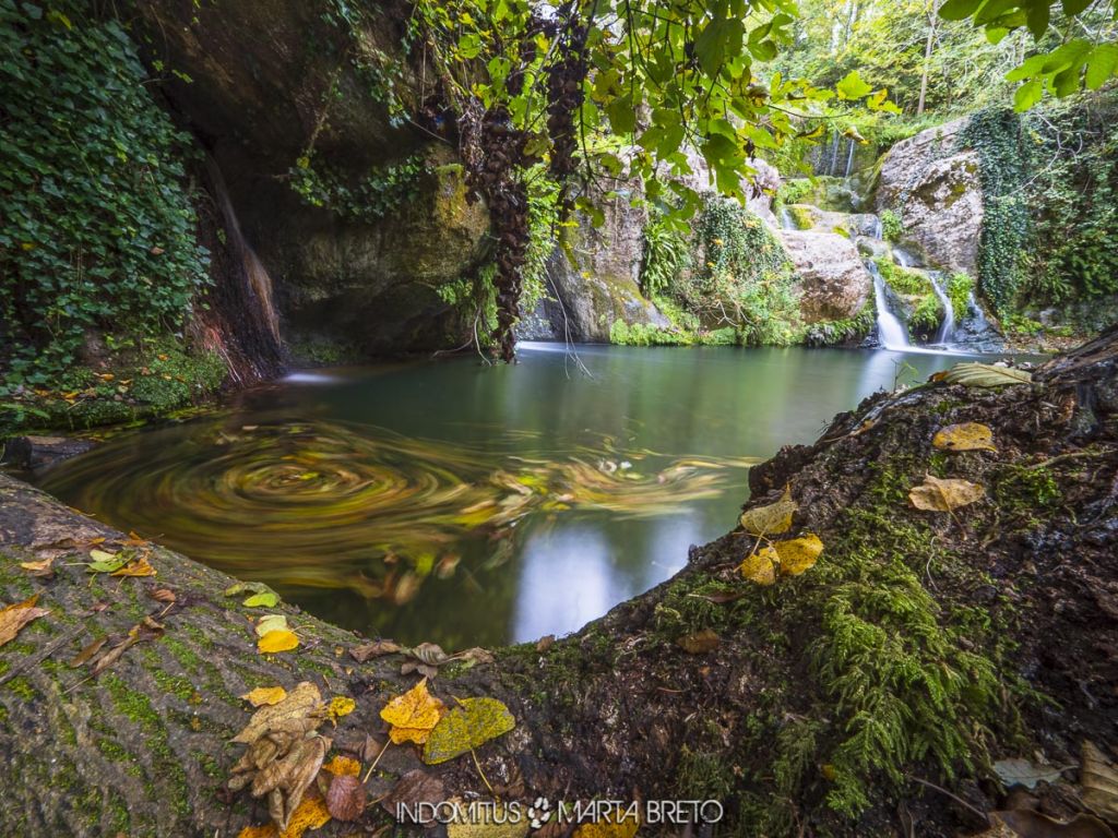 Salt del Batlle i cotilla 45