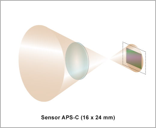 Objetivo APS C y sensor APS C