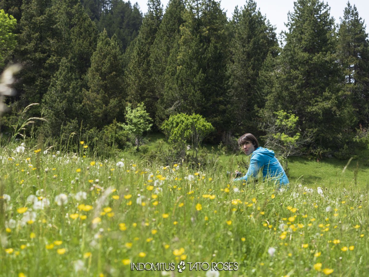 Cerdanya Prat de Cadi 192