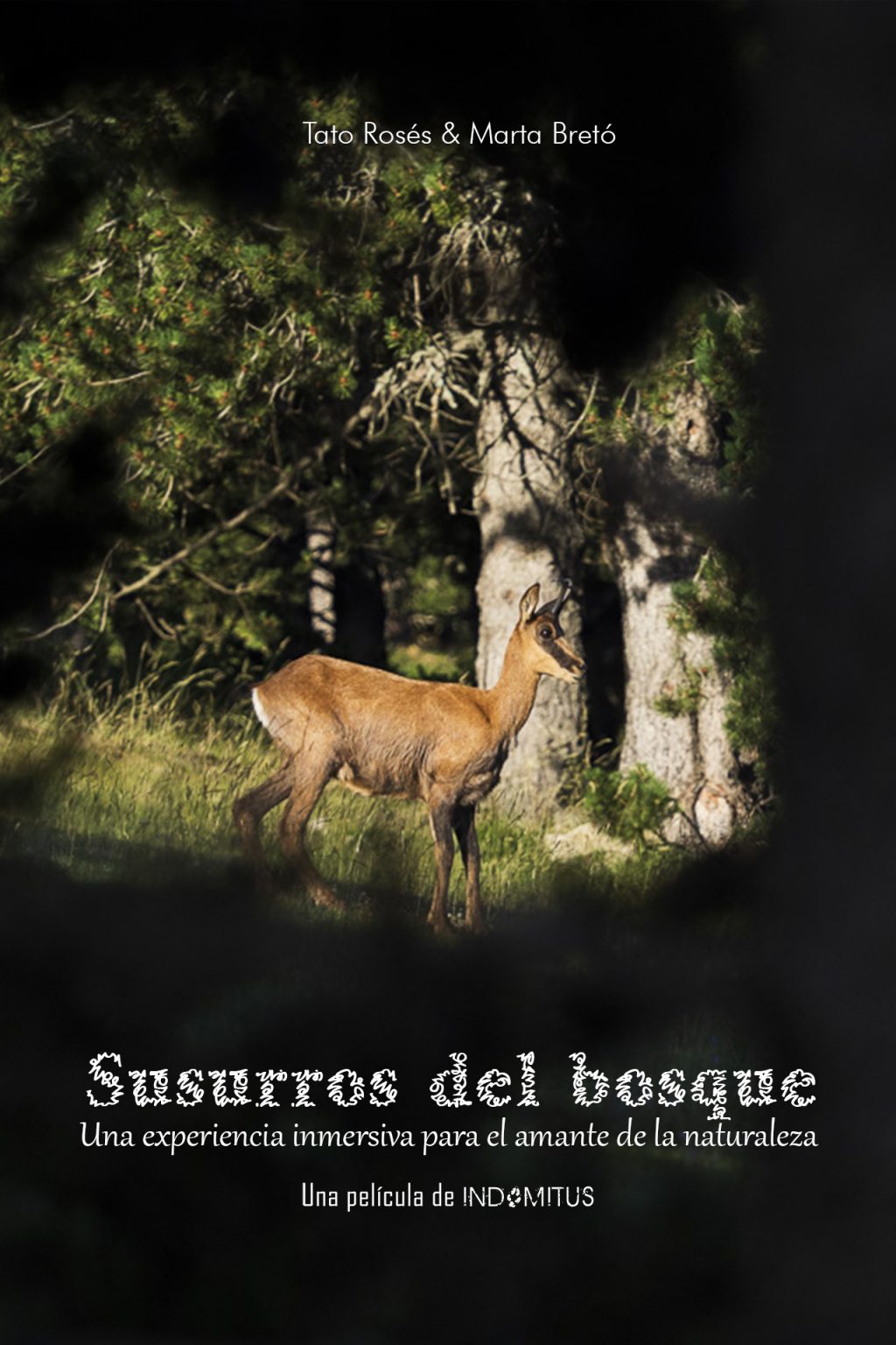 Poster susurros del bosque