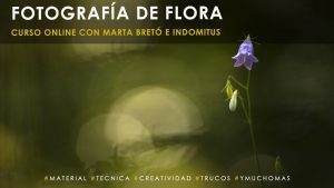 Fotografía de flora