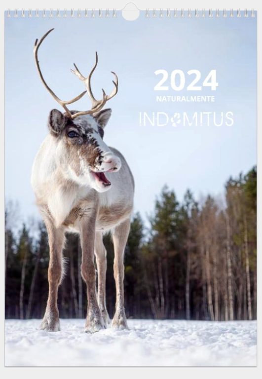 Calendario 2024