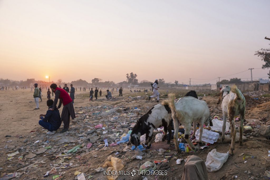 Basura dumpsite Pakistan 06