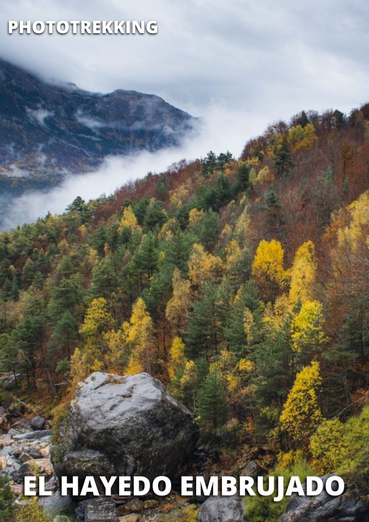 El hayedo embrujado 2
