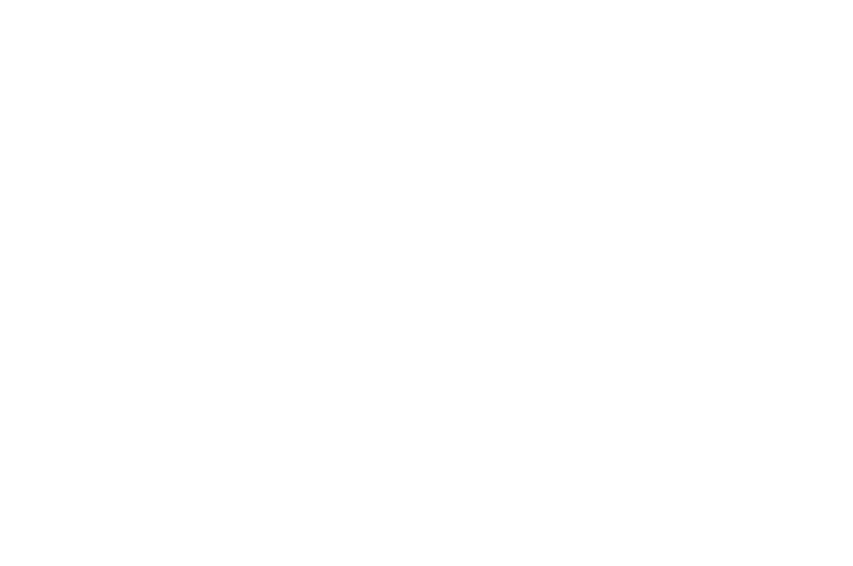 OFFICIAL SELECTION The Pigeon International Film Festival PIFF 2024 1