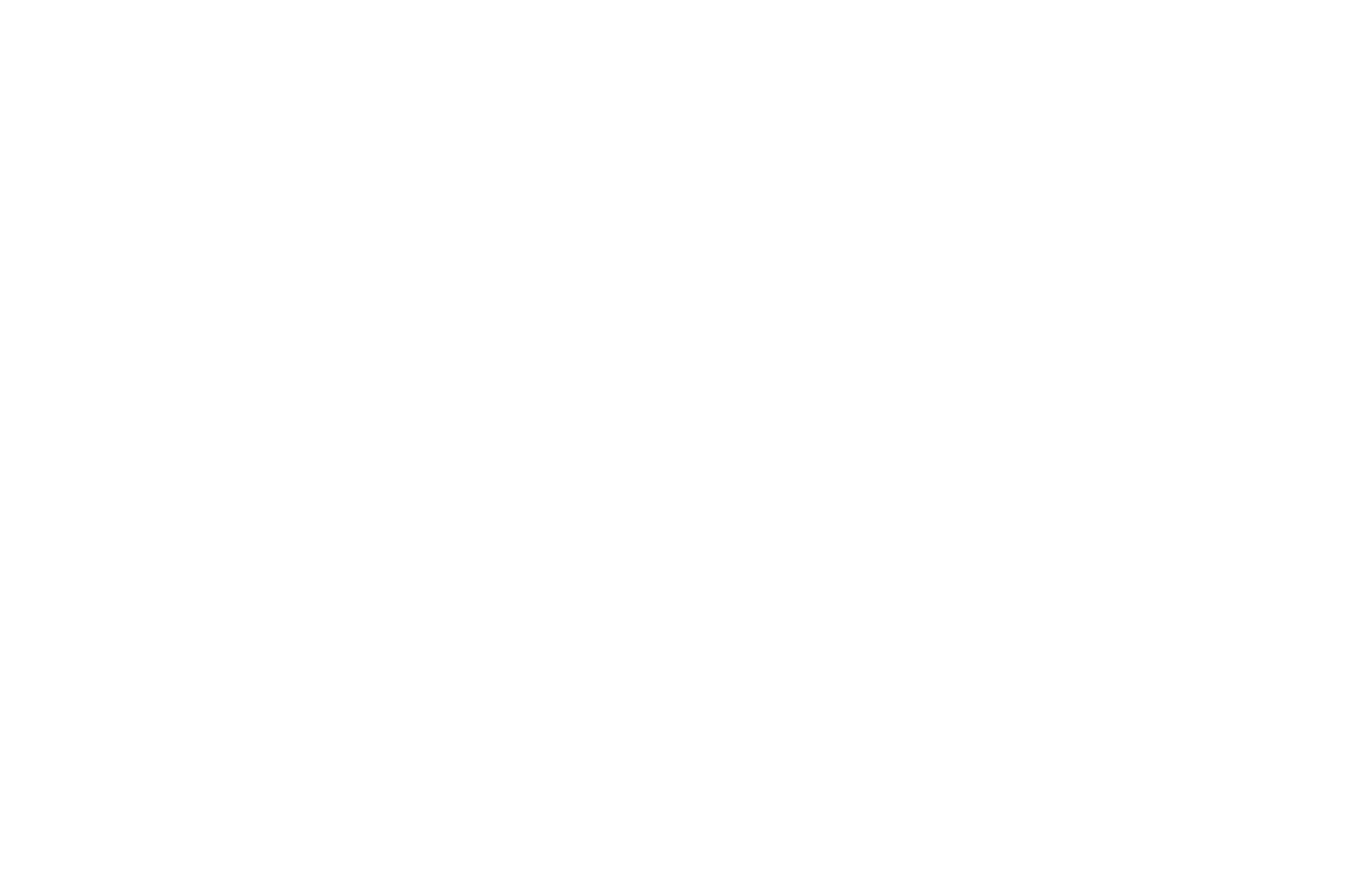 OFFICIAL SELECTION Transylvania Mountain Festival 2024 1