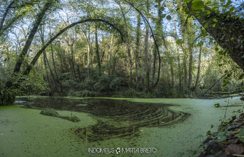 069 Saltos de agua 2024