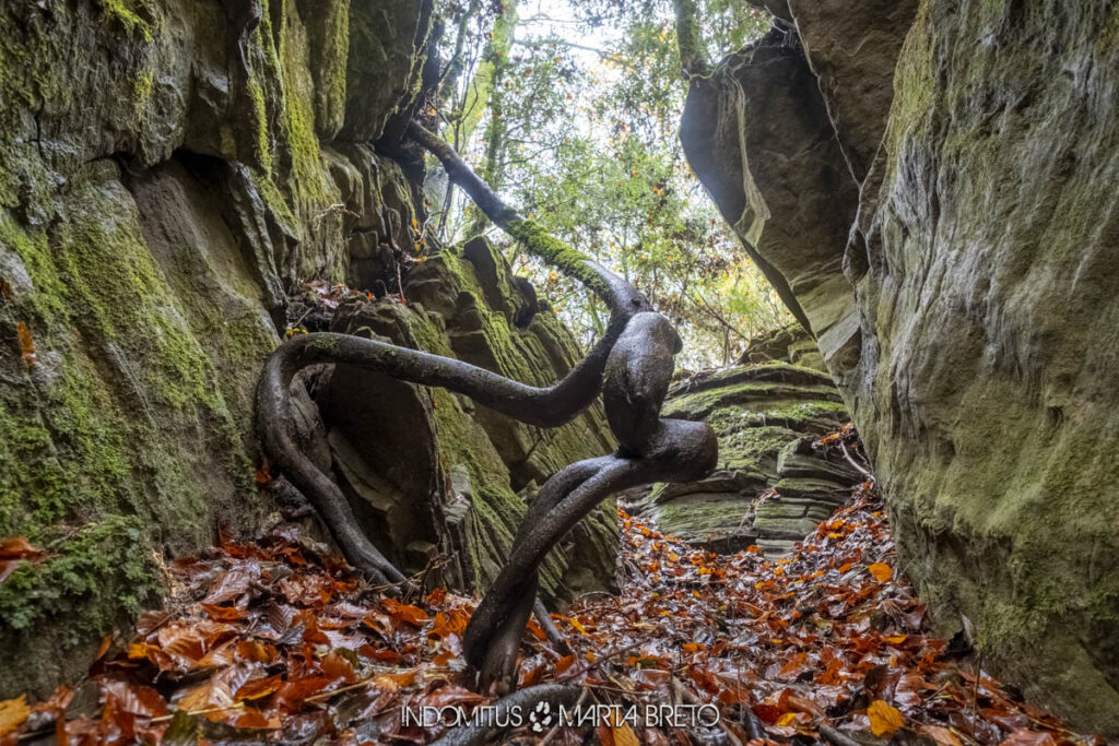 Laberinto de piedra 2024 0255 HDR