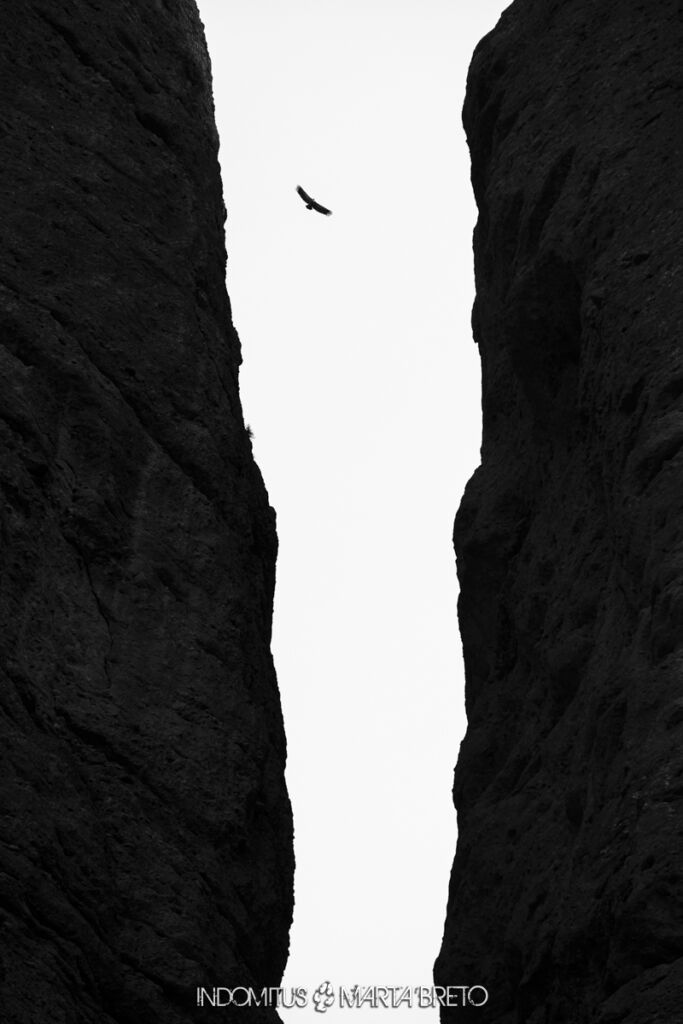 RinconesOcultosdelGallego 2025 0979