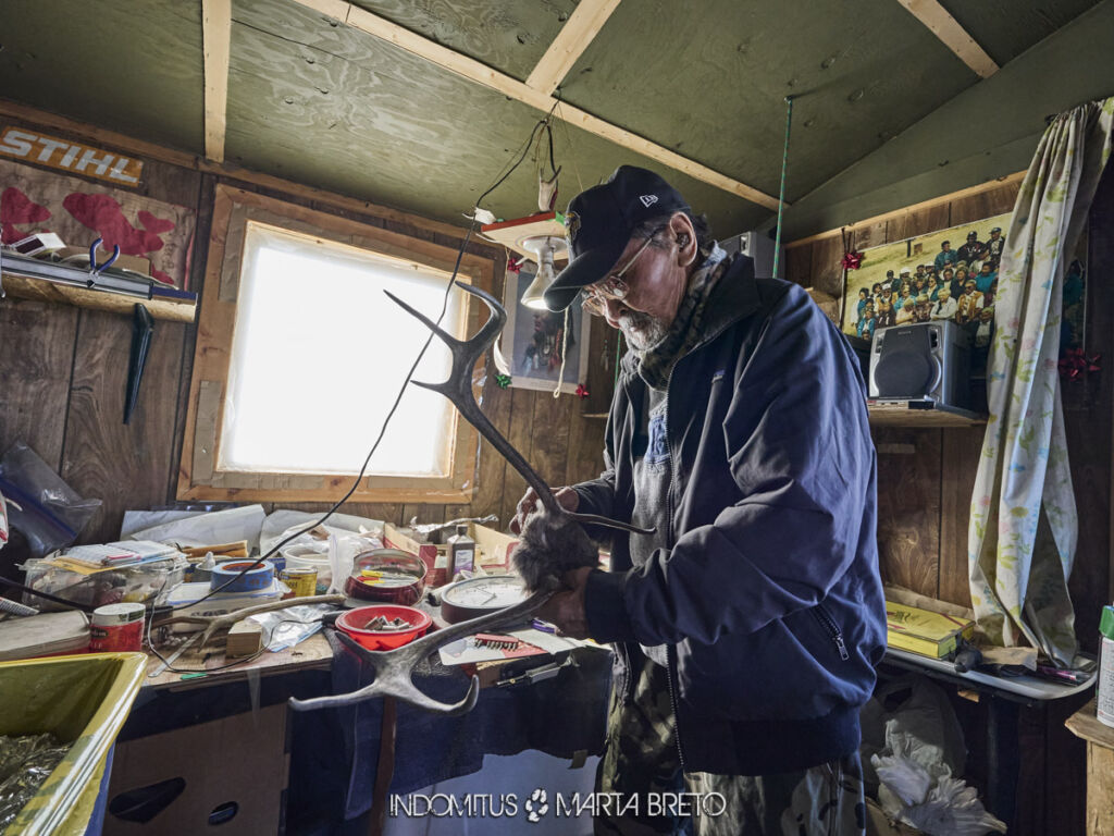 Alaska salvaje 10 ANWR 0085