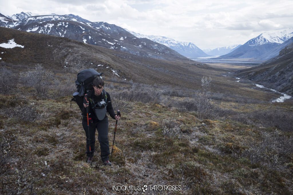 ANWR 0173
