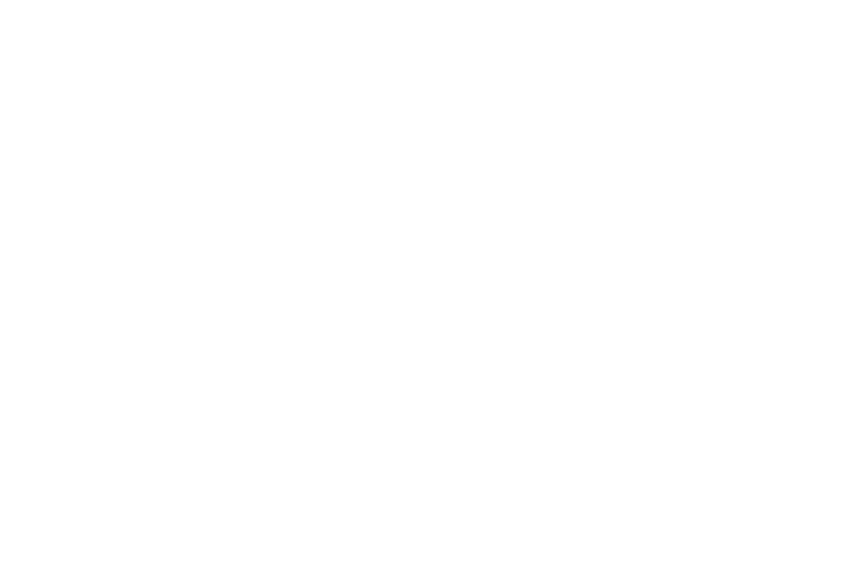 OFFICIAL SELECTION FIIN 2025 1