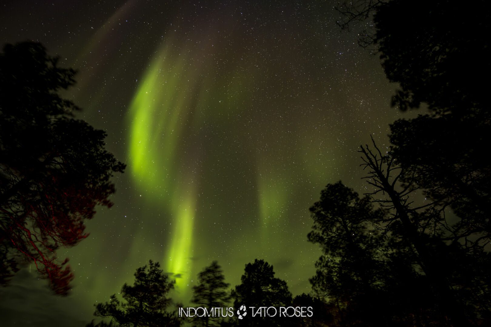 Laponia 2025091712637