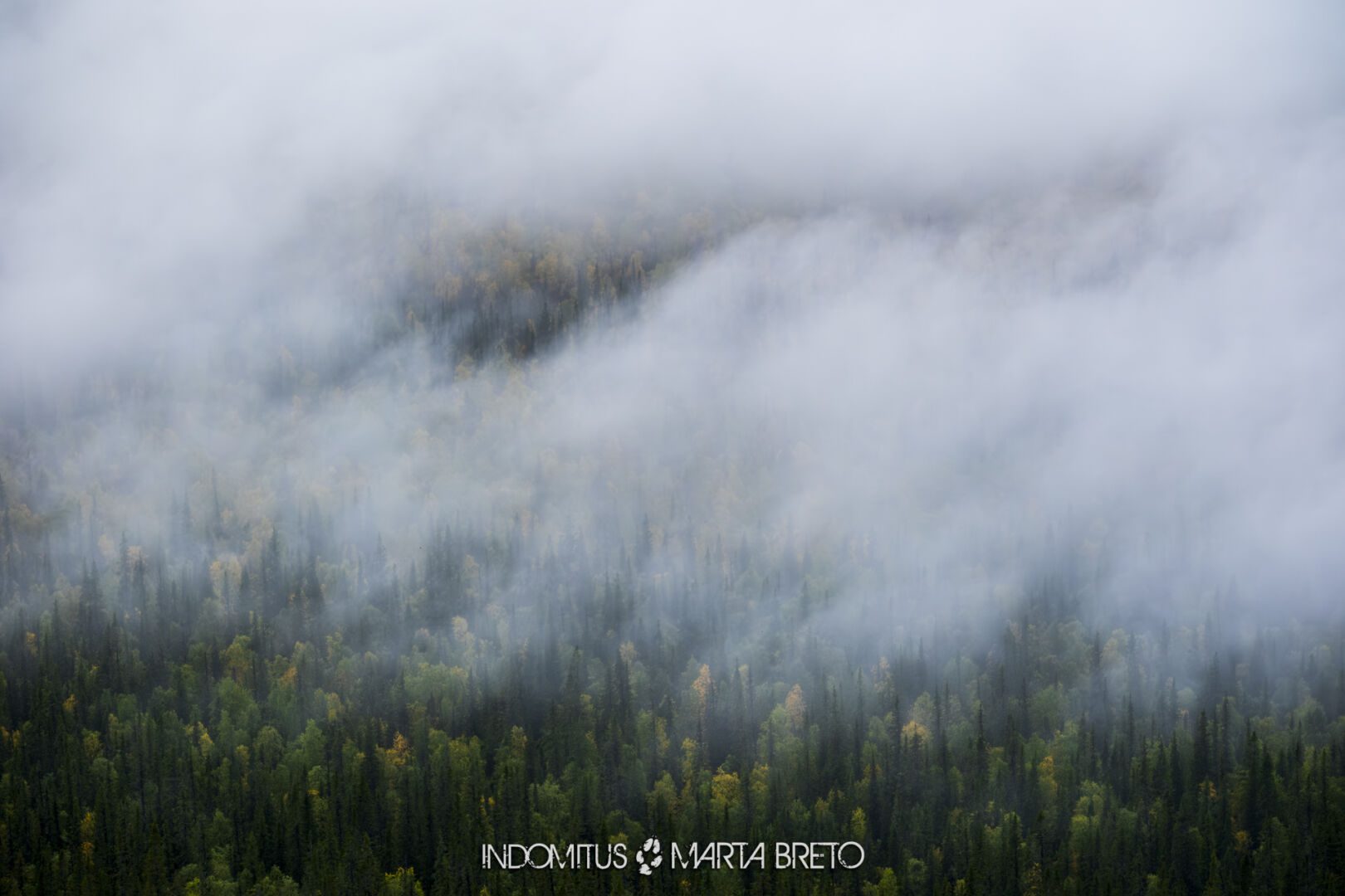 Laponia2025091401838