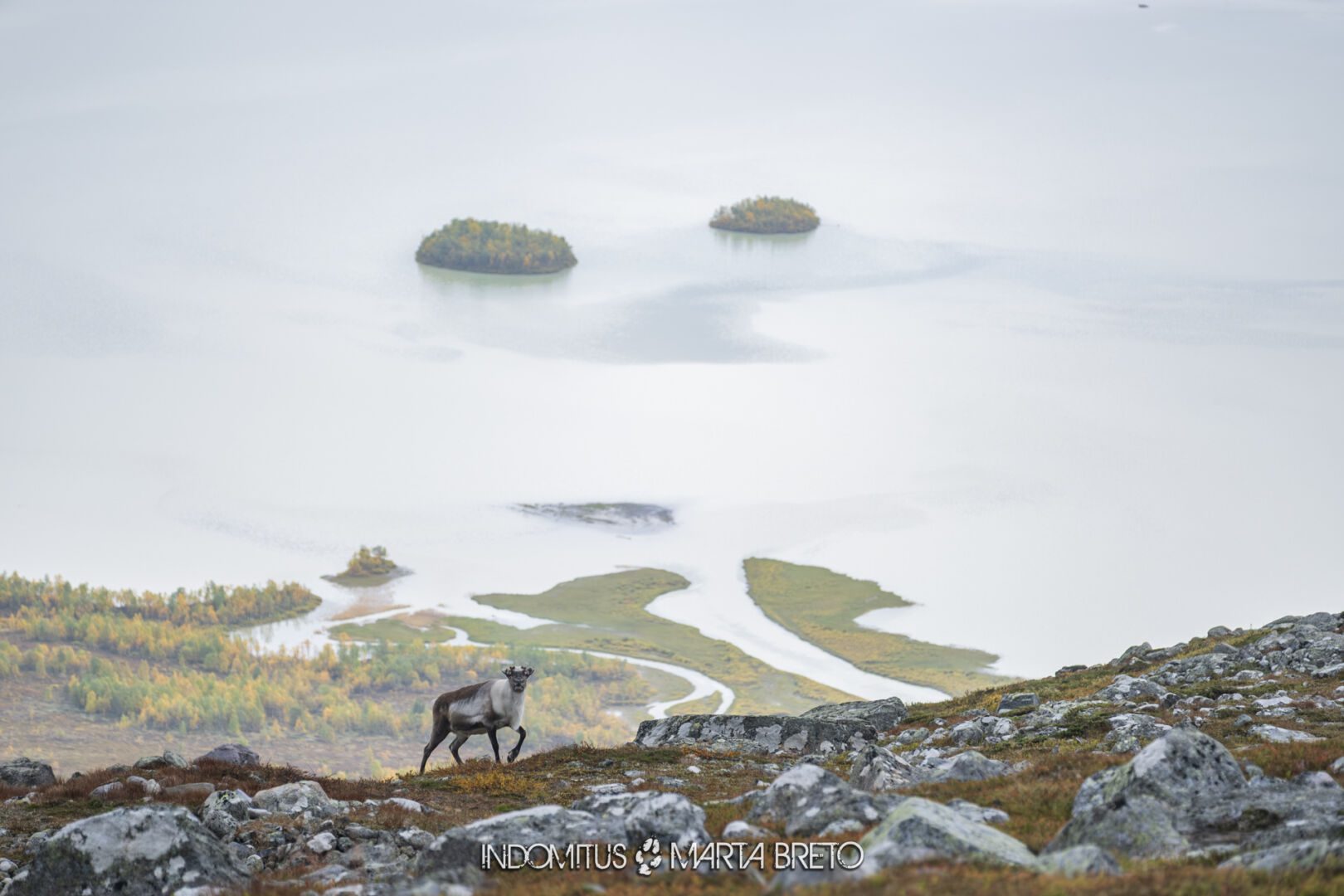 Laponia2025091402240