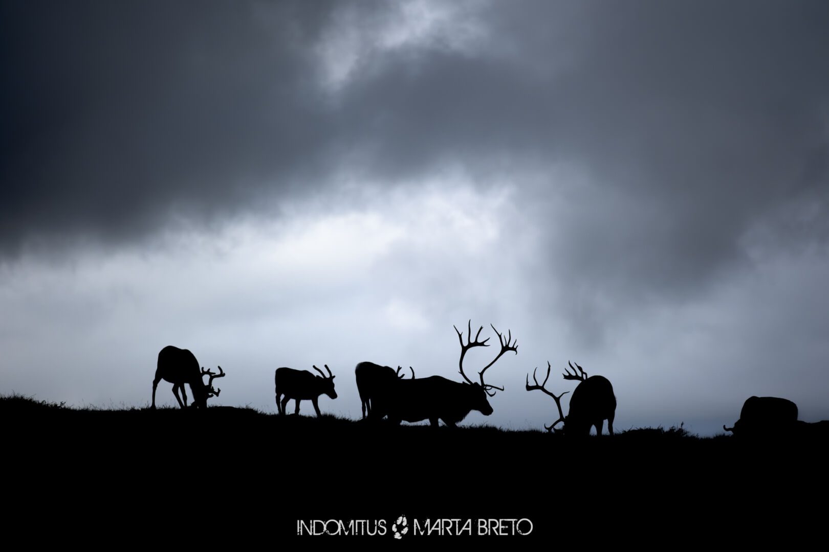 Laponia2025091402527