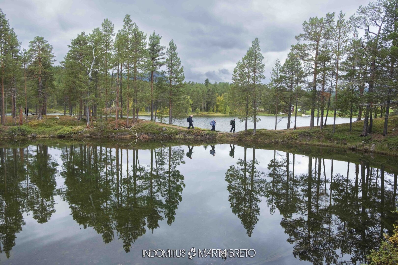 Laponia2025091503069 scaled