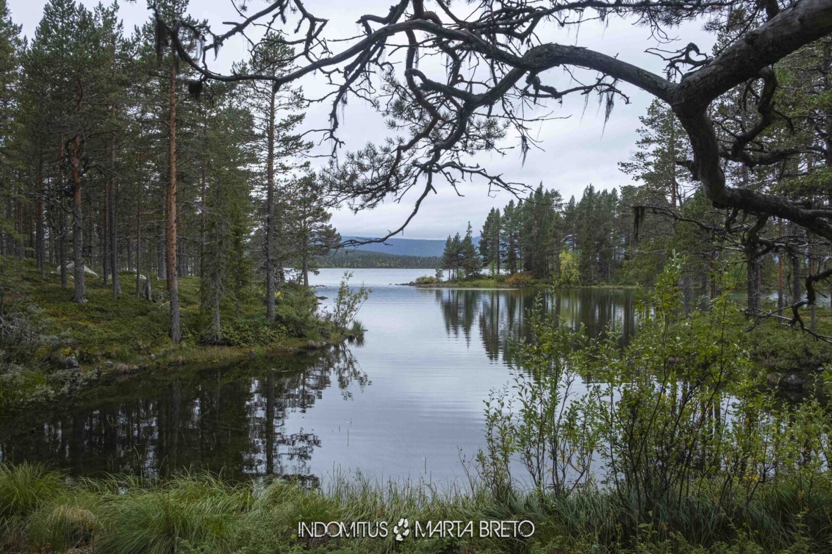 Laponia2025091503175 scaled