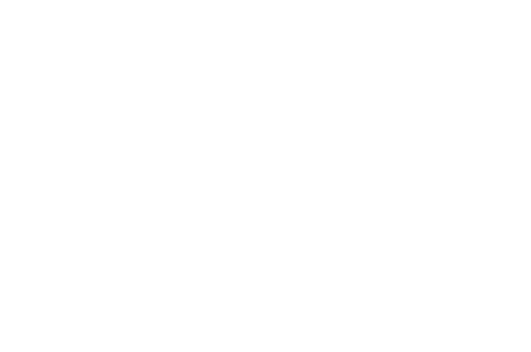 WINNER Tulum World Environmental Film Festival 2025 3