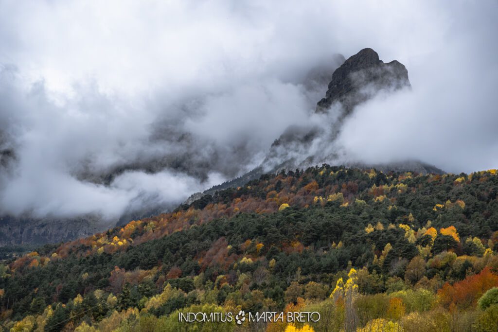 ValledeTena01112025454