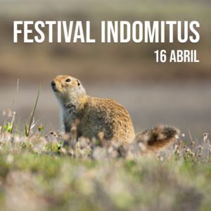 Festival INDOMITUS (16 abril)