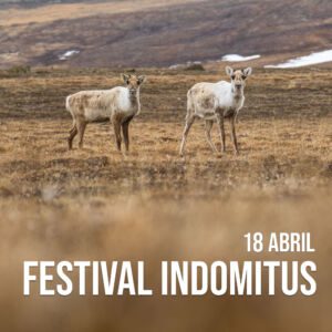 Festival INDOMITUS (18 abril)