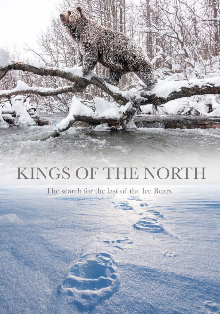 Kings of the North Peter Mather