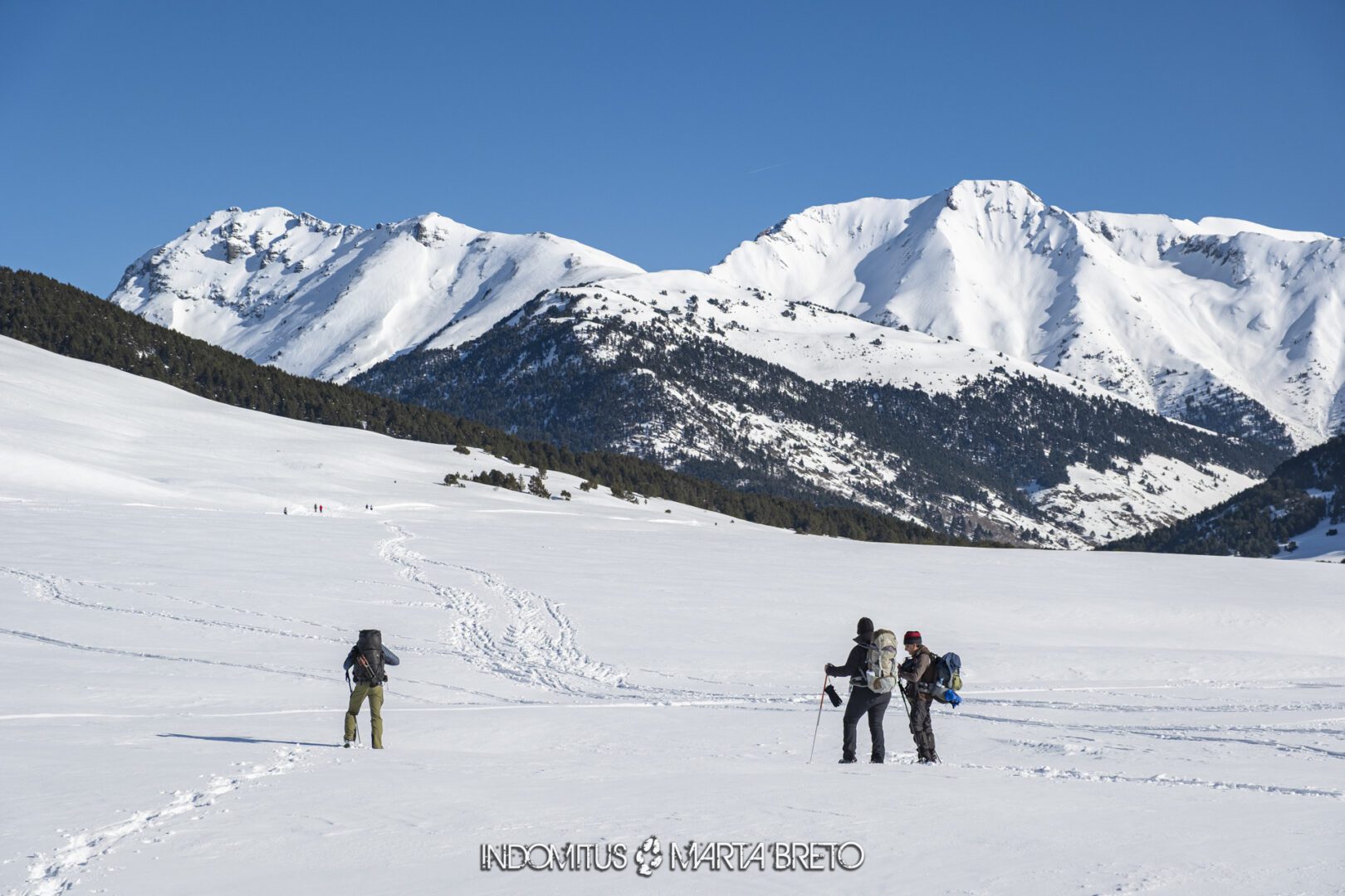 Montgarri202602210039