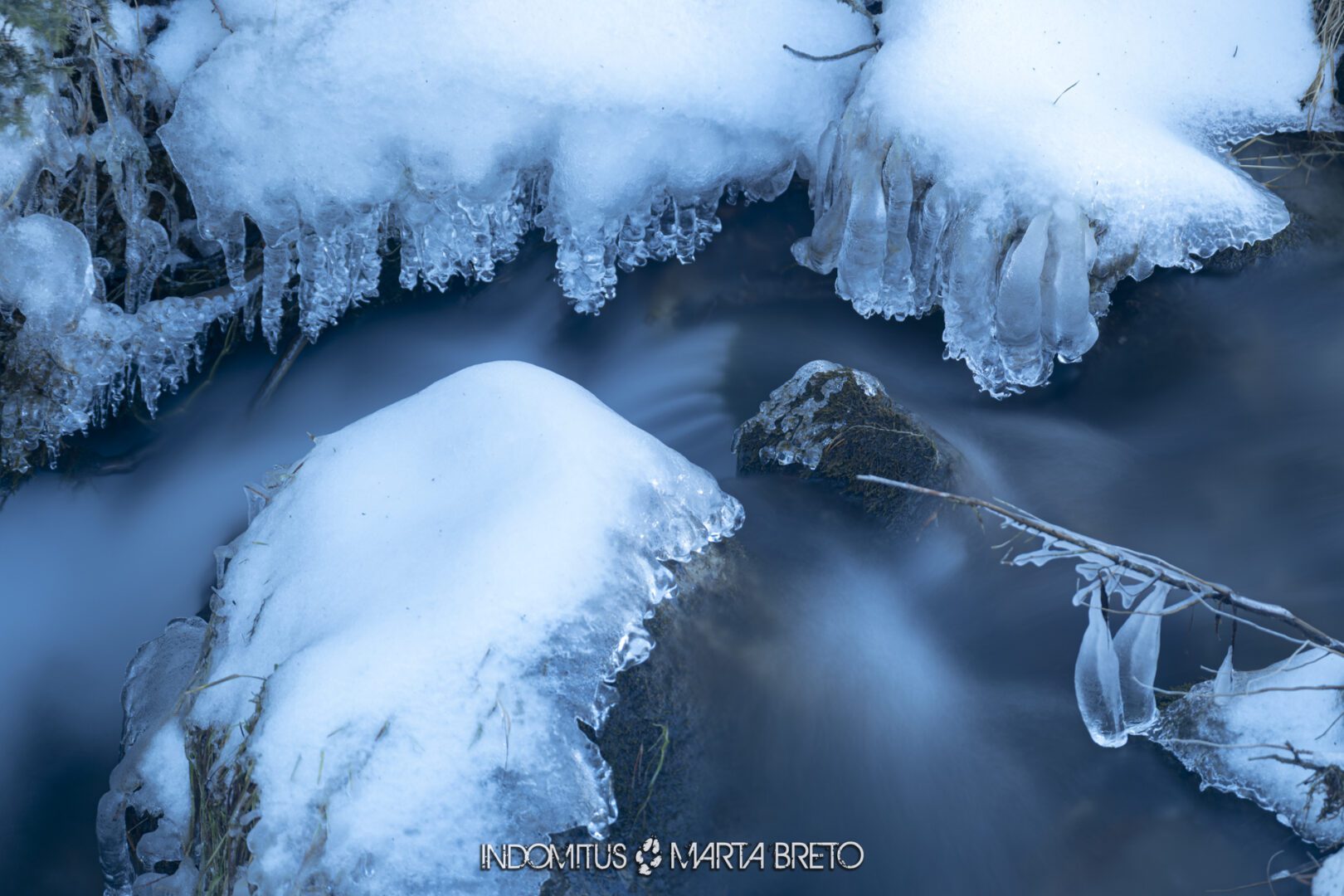 Montgarri202602210213