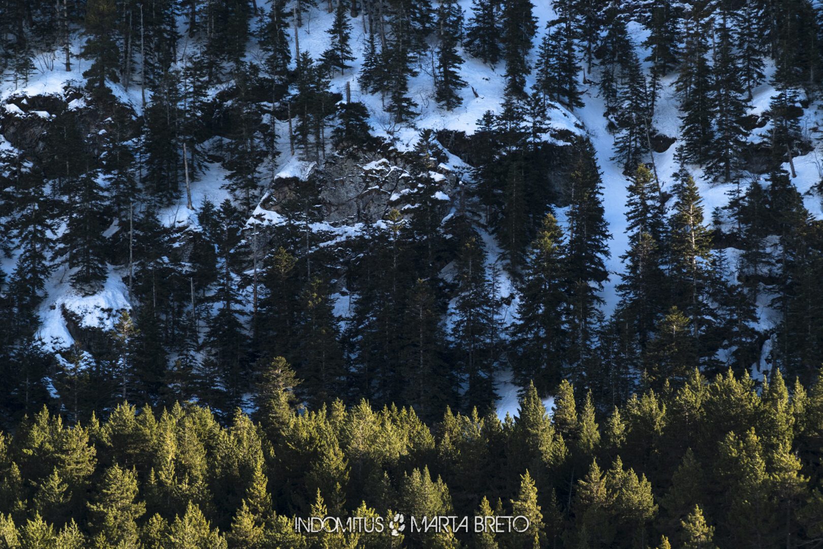 Montgarri202602210359