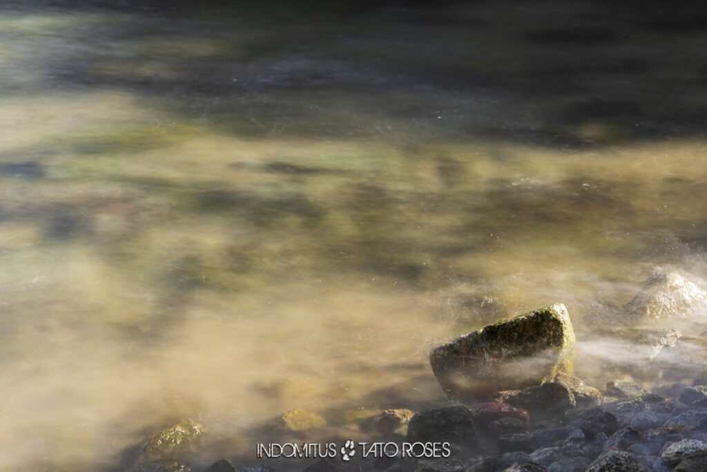 Montgarri 2026020815140