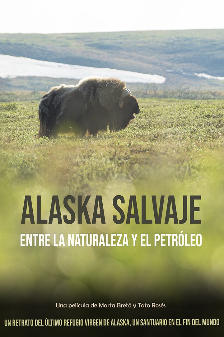 Alaska salvaje