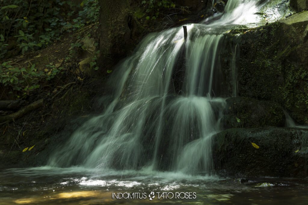 Riera de Vallcarquera 2026 005