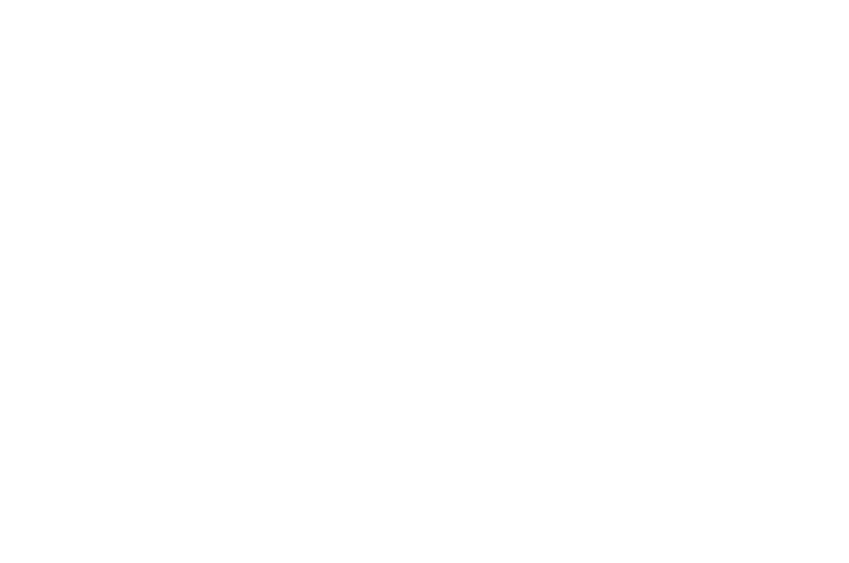 WINNER Tulum World Environmental Film Festival 2025 3 1