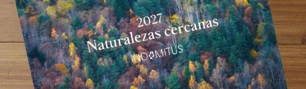 calendario