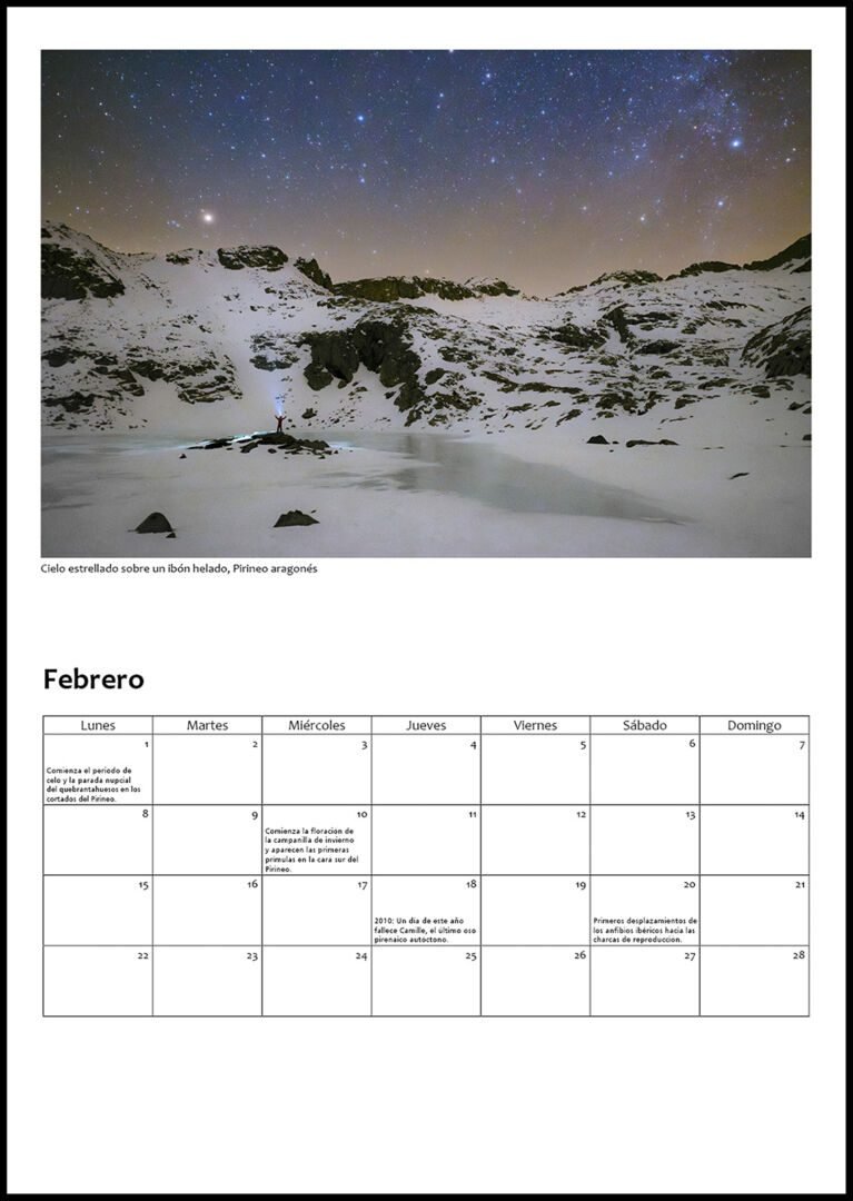 febrero filete