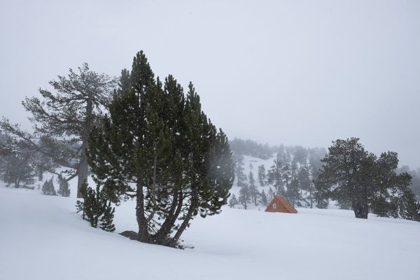 3 Pirineos y medio ambiente_001
