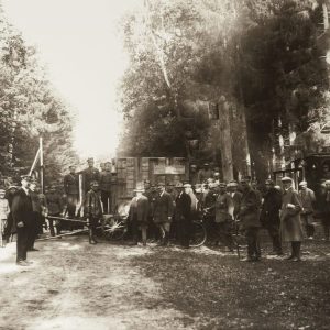 Bialowieza_liberación de bisontes_1