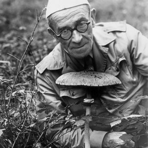 Bialowieza_Jan_Jerzy_Karpinski