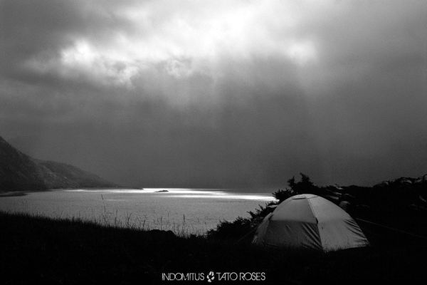 Tato Rosés - Indomitus