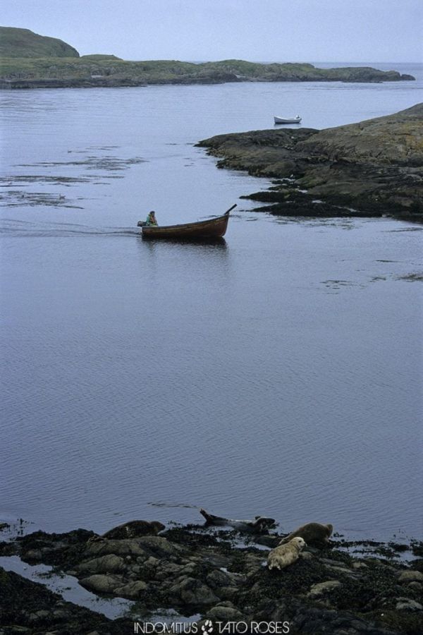 Tato Rosés - Indomitus