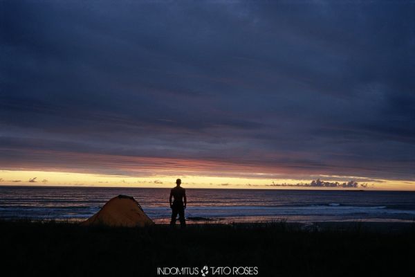 Tato Rosés - Indomitus