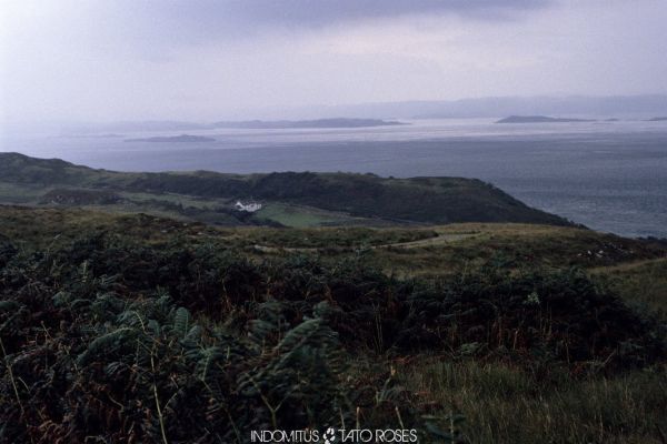 Tato Rosés - Indomitus