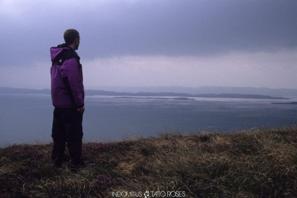 Tato Rosés - Indomitus